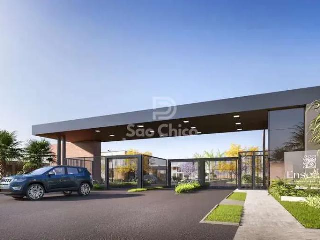 Terreno venda em Região Geográfica Imediata de Joinville, Joinville