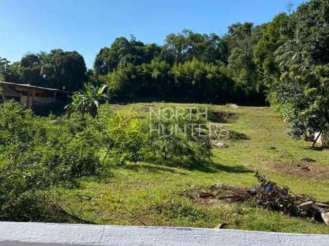 Terreno venda em Floresta, Joinville