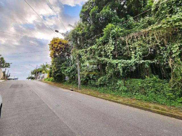 Terreno venda em Região Geográfica Imediata de Joinville, Joinville
