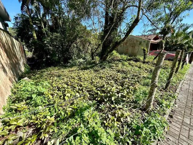 Terreno venda em Região Geográfica Imediata de Joinville, Joinville