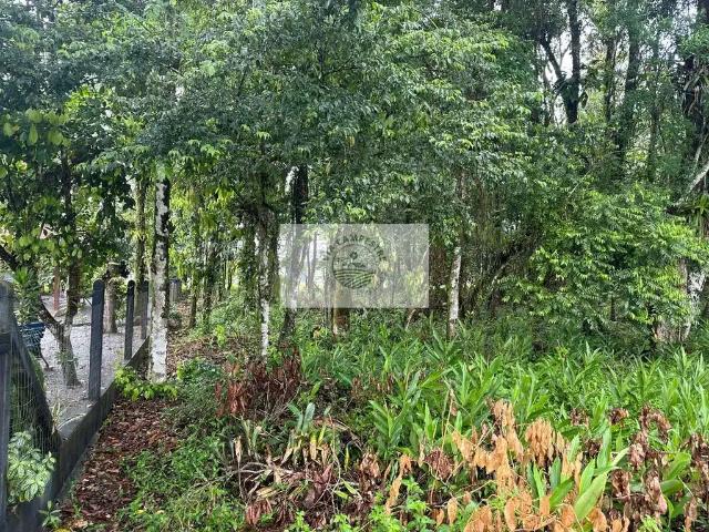 Terreno venda em Região Geográfica Imediata de Joinville, Joinville