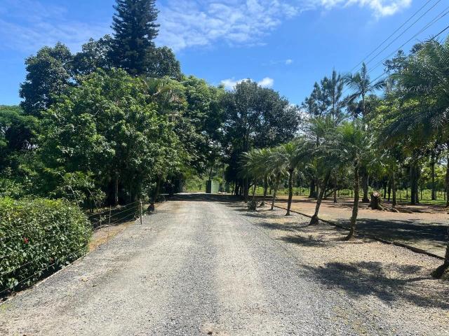 Terreno venda em Jardim Sofia, Joinville