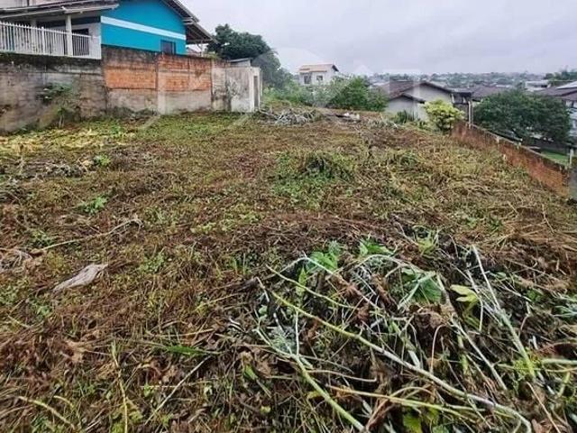 Terreno venda em Joinville, Região Geográfica Intermediária de Joinville