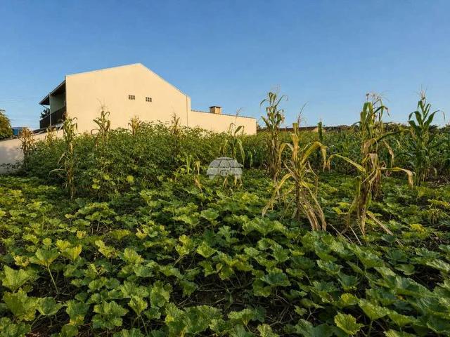 Terreno venda em Morro do Meio, Joinville