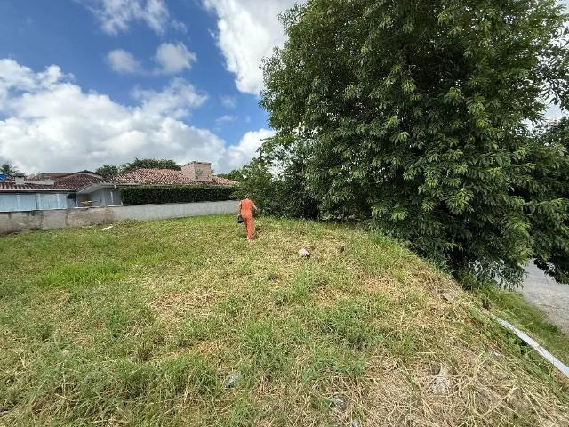 Terreno venda em Região Geográfica Imediata de Joinville, Joinville