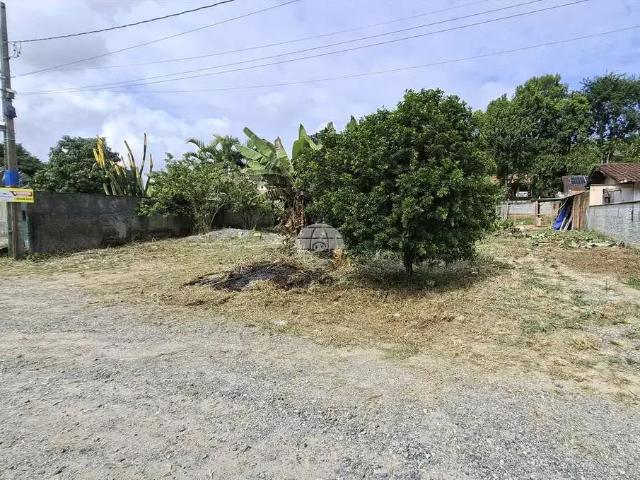 Terreno venda em Petrópolis, Joinville