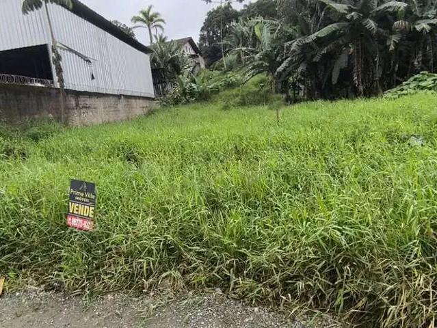 Terreno venda em Região Geográfica Imediata de Joinville, Joinville