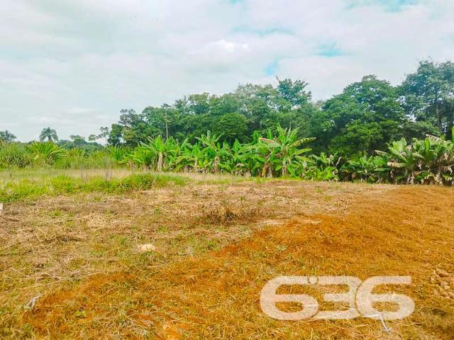 Terreno venda em Região Geográfica Imediata de Joinville, Joinville