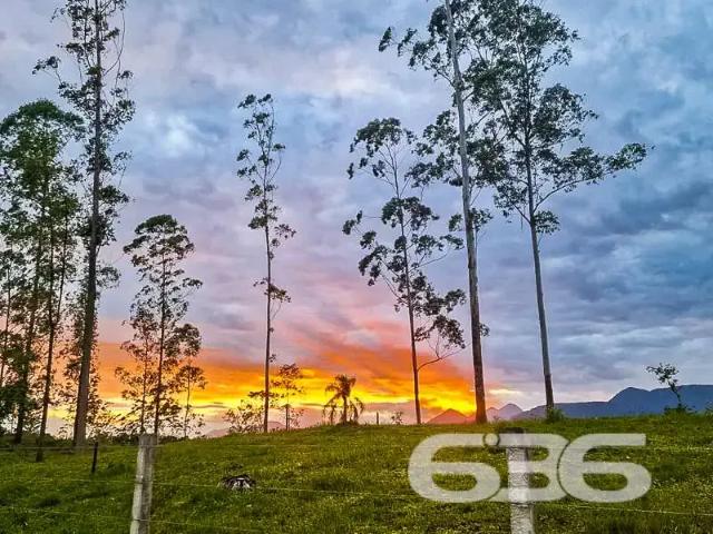 Terreno venda em Região Geográfica Imediata de Joinville, Joinville