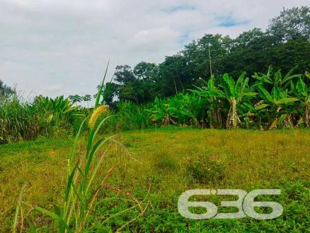 Terreno venda em Região Geográfica Imediata de Joinville, Joinville