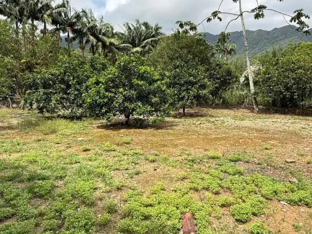 Terreno venda em Região Geográfica Imediata de Joinville, Joinville
