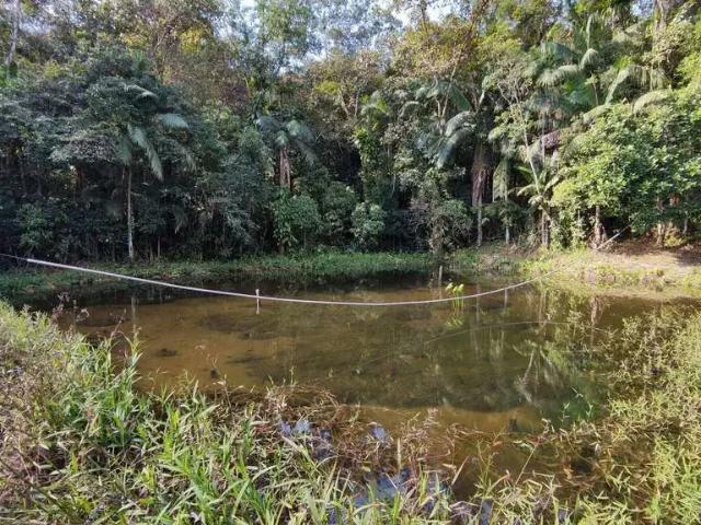 Terreno venda em Região Geográfica Imediata de Joinville, Joinville