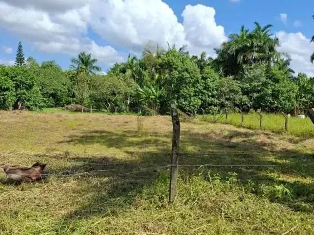 Terreno venda em Região Geográfica Imediata de Joinville, Joinville