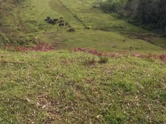 Terreno venda em Região Geográfica Imediata de Joinville, Joinville