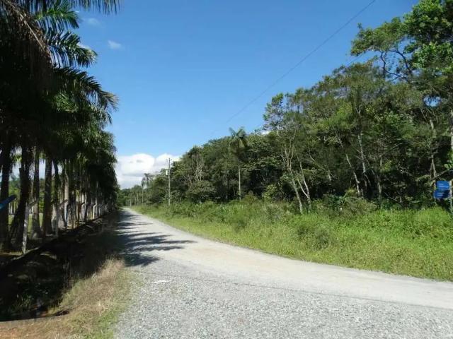 Terreno venda em Região Geográfica Imediata de Joinville, Joinville