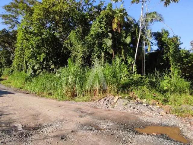 Terreno venda em Região Geográfica Imediata de Joinville, Joinville