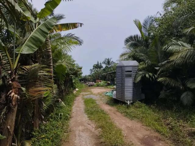 Terreno venda em Região Geográfica Imediata de Joinville, Joinville