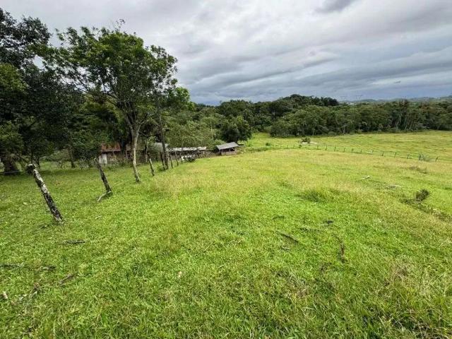 Terreno venda em Região Geográfica Imediata de Joinville, Joinville