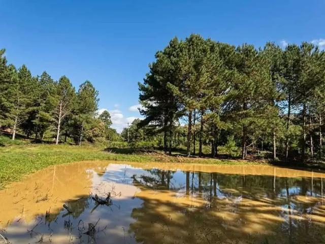 Terreno venda em Região Geográfica Imediata de Ibirama-Presidente Getúlio, José Boiteux