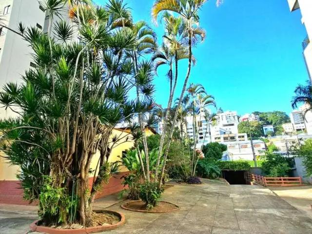 Terreno venda em Região Geográfica Imediata de Juiz de Fora, Juiz de Fora