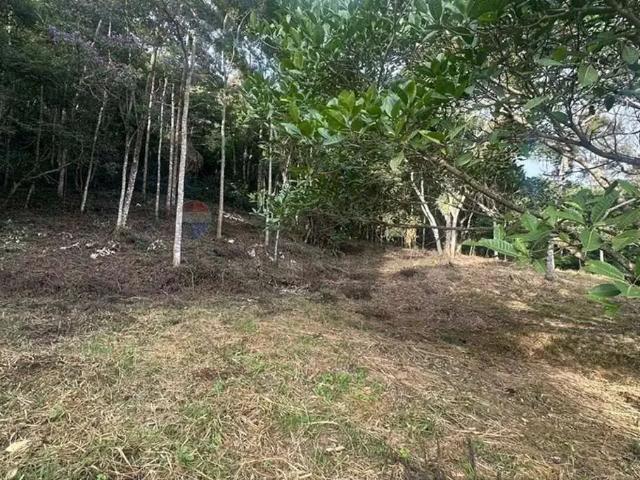 Terreno venda em Região Geográfica Imediata de Juiz de Fora, Juiz de Fora