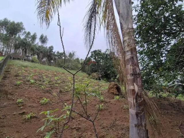 Terreno venda em Região Geográfica Imediata de Juiz de Fora, Juiz de Fora