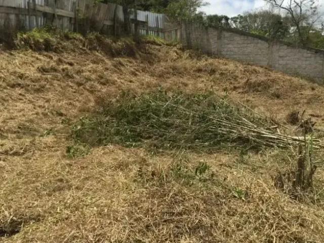 Terreno venda em Região Geográfica Imediata de Juiz de Fora, Juiz de Fora