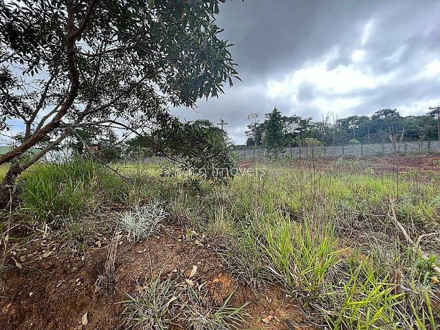Terreno venda em Região Geográfica Imediata de Juiz de Fora, Juiz de Fora