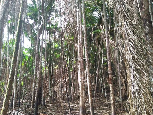 Terreno venda em Região Geográfica Imediata de Juiz de Fora, Juiz de Fora
