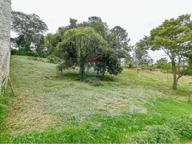 Terreno venda em Região Geográfica Imediata de Juiz de Fora, Juiz de Fora