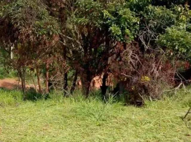 Terreno venda em Renascença, Juiz de Fora