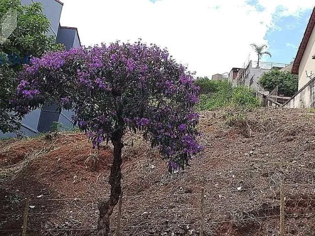 Terreno venda em Região Geográfica Imediata de Juiz de Fora, Juiz de Fora