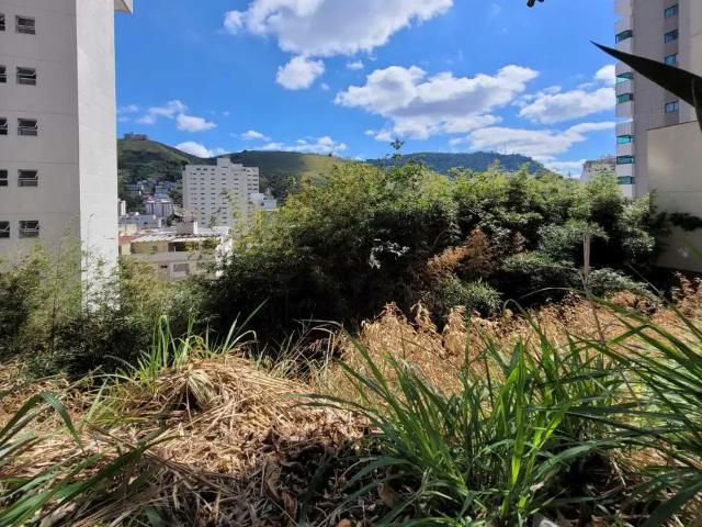 Terreno venda em Região Geográfica Imediata de Juiz de Fora, Juiz de Fora