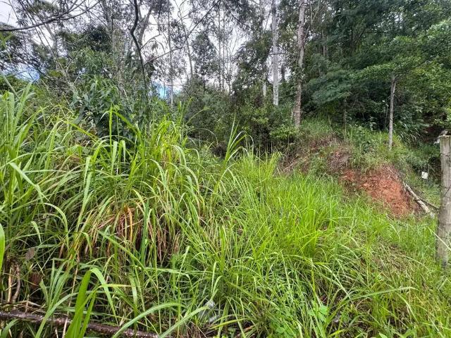 Terreno venda em Região Geográfica Imediata de Juiz de Fora, Juiz de Fora