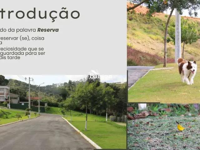 Terreno venda em Região Geográfica Imediata de Juiz de Fora, Juiz de Fora