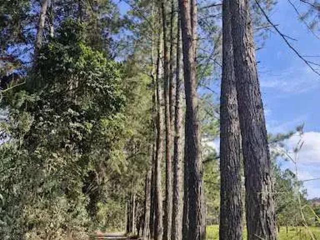 Terreno venda em Região Geográfica Imediata de Juiz de Fora, Juiz de Fora