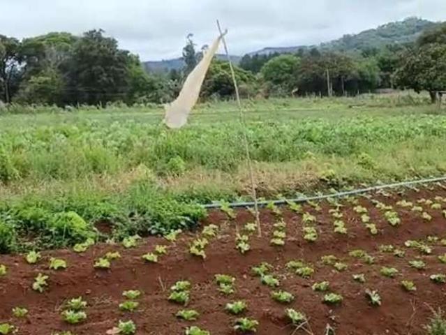Terreno venda em Região Imediata de Jundiaí, Jundiaí