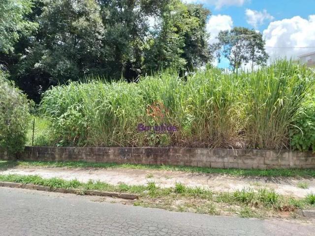 Terreno venda em Região Geográfica Imediata de Caxias do Sul, Caxias do Sul