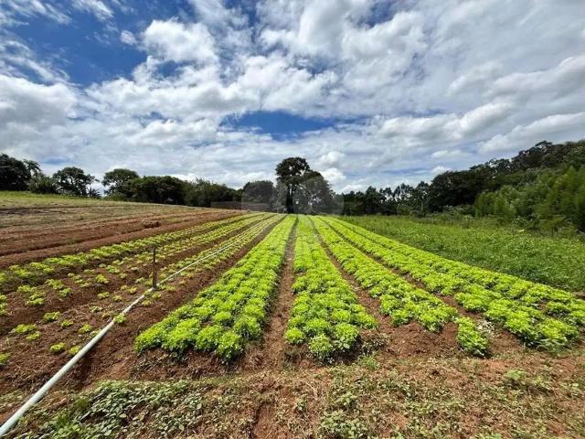 Terreno venda em Região Imediata de Jundiaí, Jundiaí
