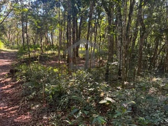 Terreno venda em Juquitiba