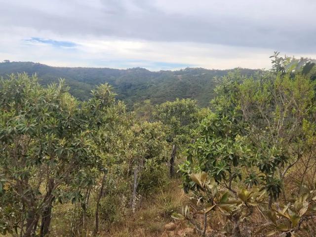 Terreno venda em Região Geográfica Imediata do Distrito Federal, Região Integrada de Desenvolvimento do Distrito Federal e Entorno