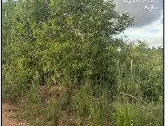 Terreno venda em Região Geográfica Imediata de Carpina, Lagoa do Carro
