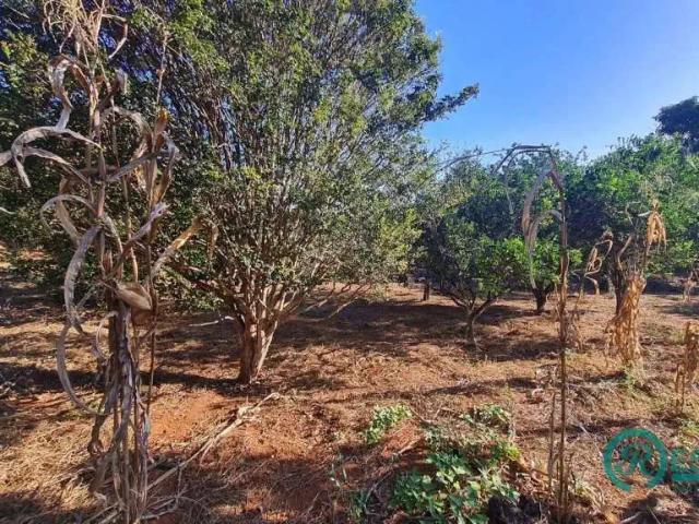 Terreno venda em Região Geográfica Imediata de Belo Horizonte, Região Metropolitana de Belo Horizonte