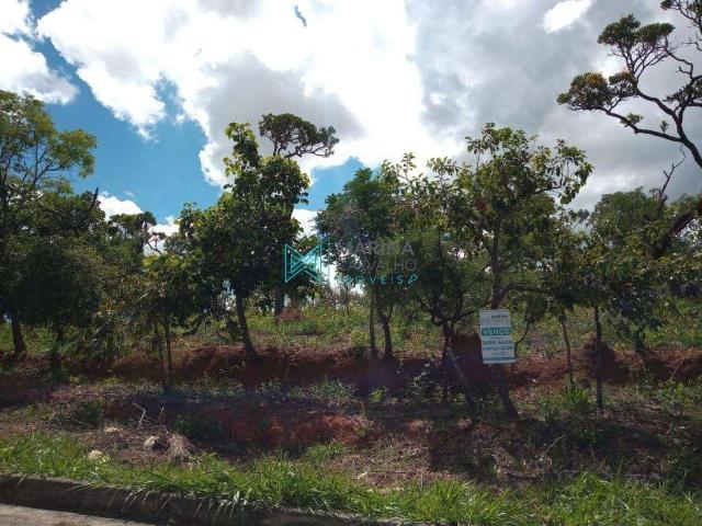 Terreno venda em Região Geográfica Imediata de Belo Horizonte, Região Metropolitana de Belo Horizonte
