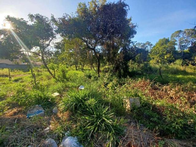 Terreno venda em Várzea, Lagoa Santa