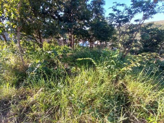 Terreno venda em Região Geográfica Imediata de Belo Horizonte, Região Metropolitana de Belo Horizonte