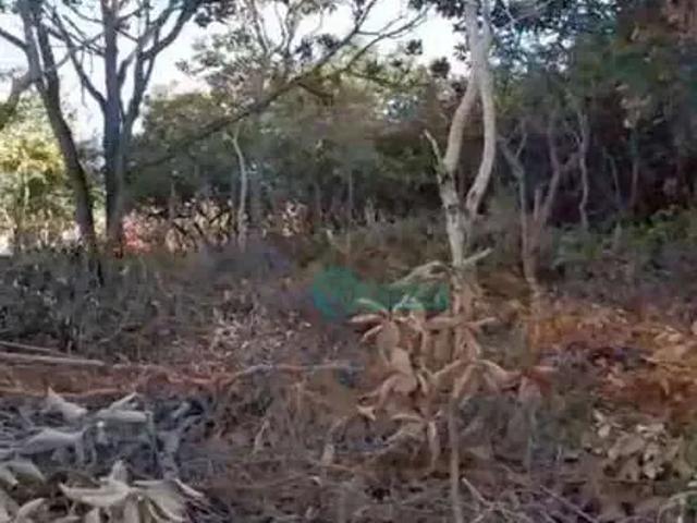 Terreno venda em Condomínio Encanto da Lagoa, Lagoa Santa