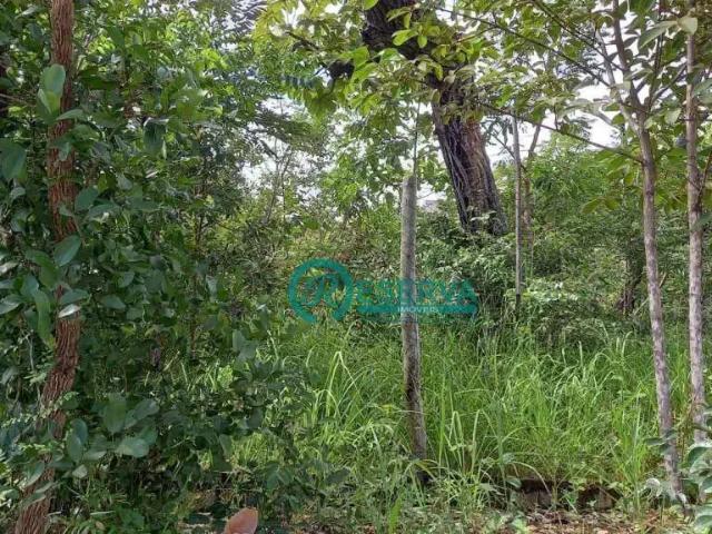 Terreno venda em Região Geográfica Imediata de Belo Horizonte, Região Metropolitana de Belo Horizonte