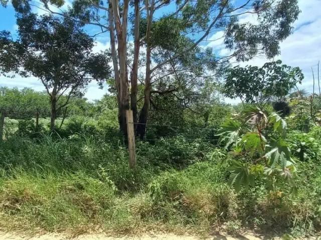 Terreno venda em Região Geográfica Imediata de Tubarão, Laguna