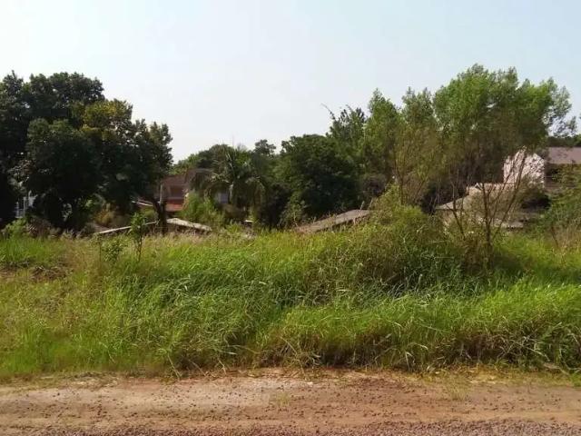 Terreno venda em Lajeado